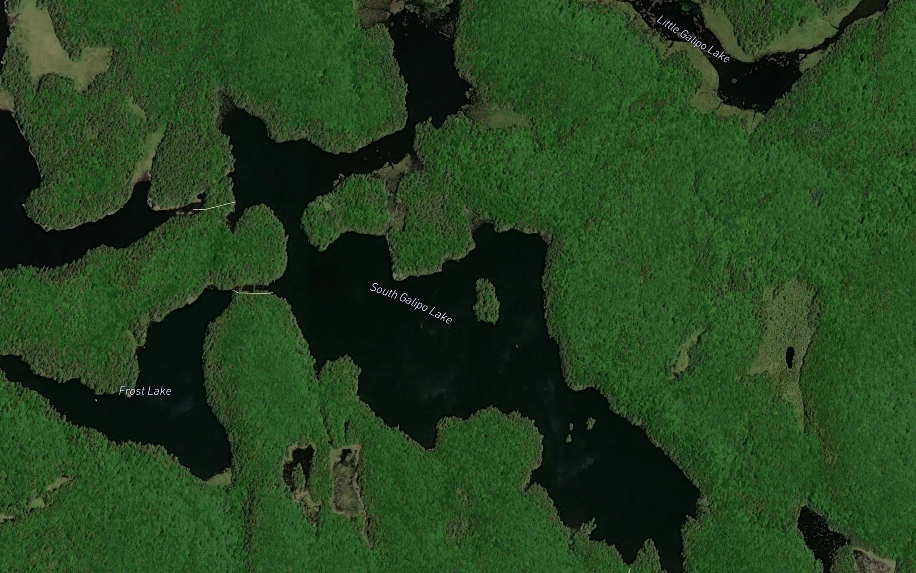 Satellite map of the South Galipo Lake