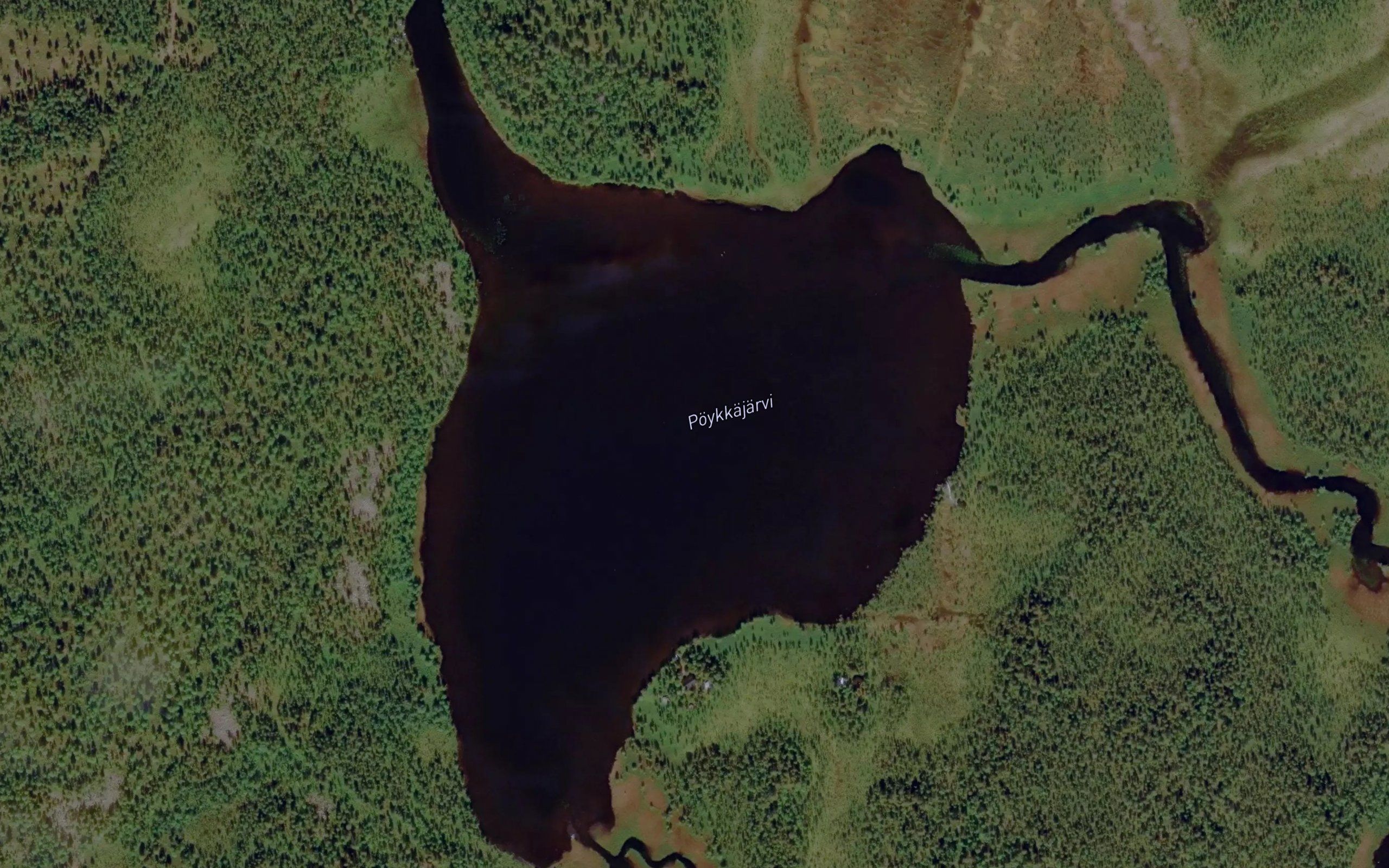 Pavkkyjavri