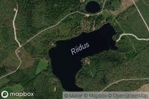 Riidus