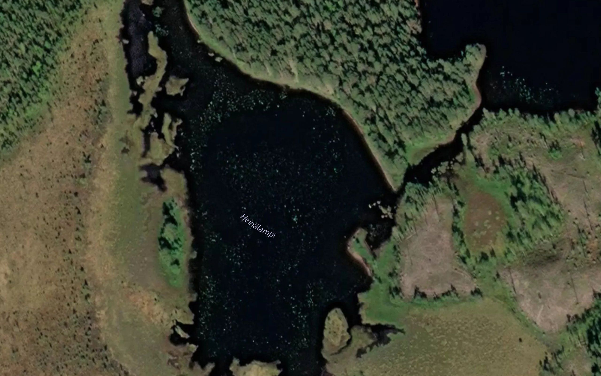 Heinalampi