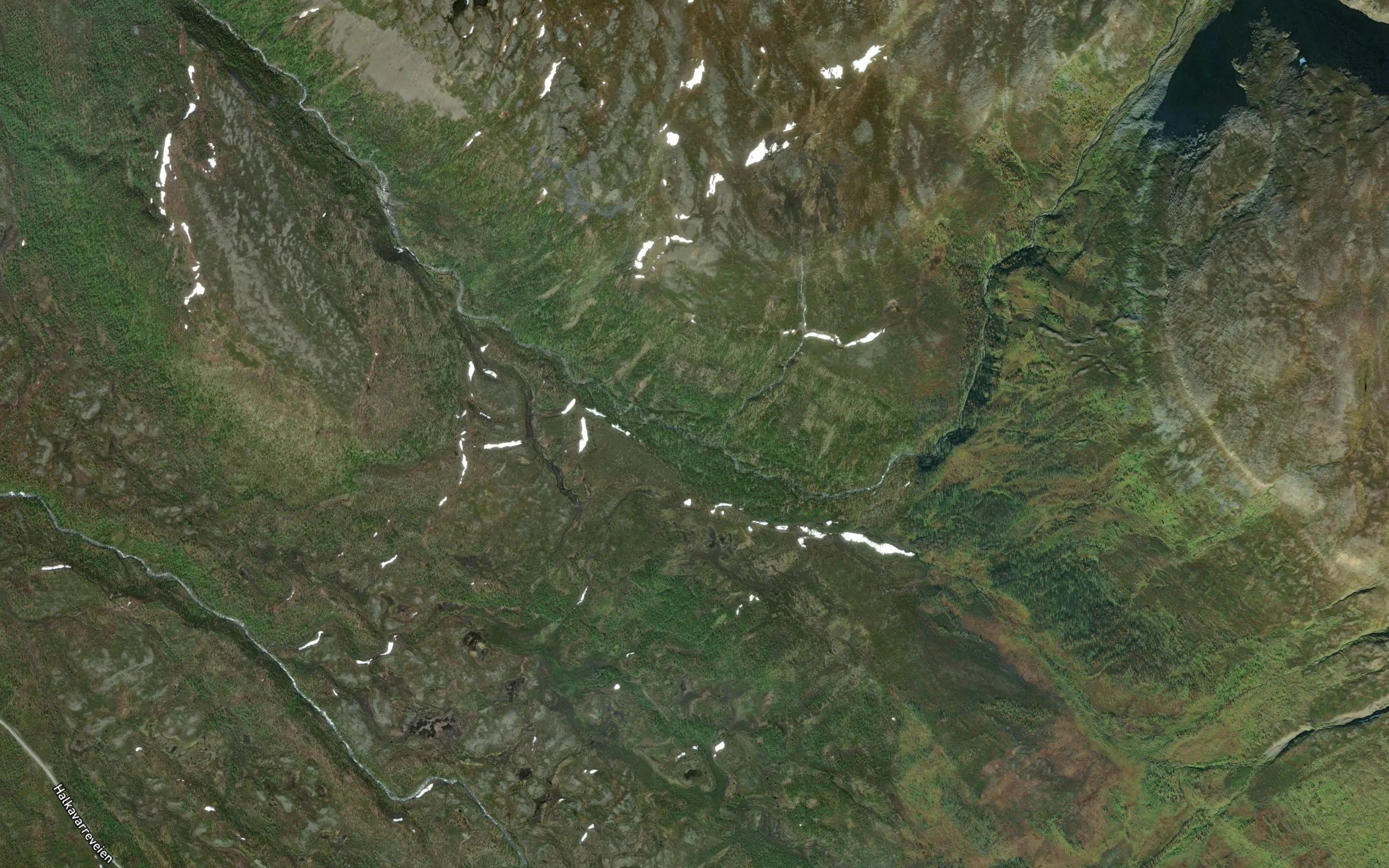 Cakkaljakka
