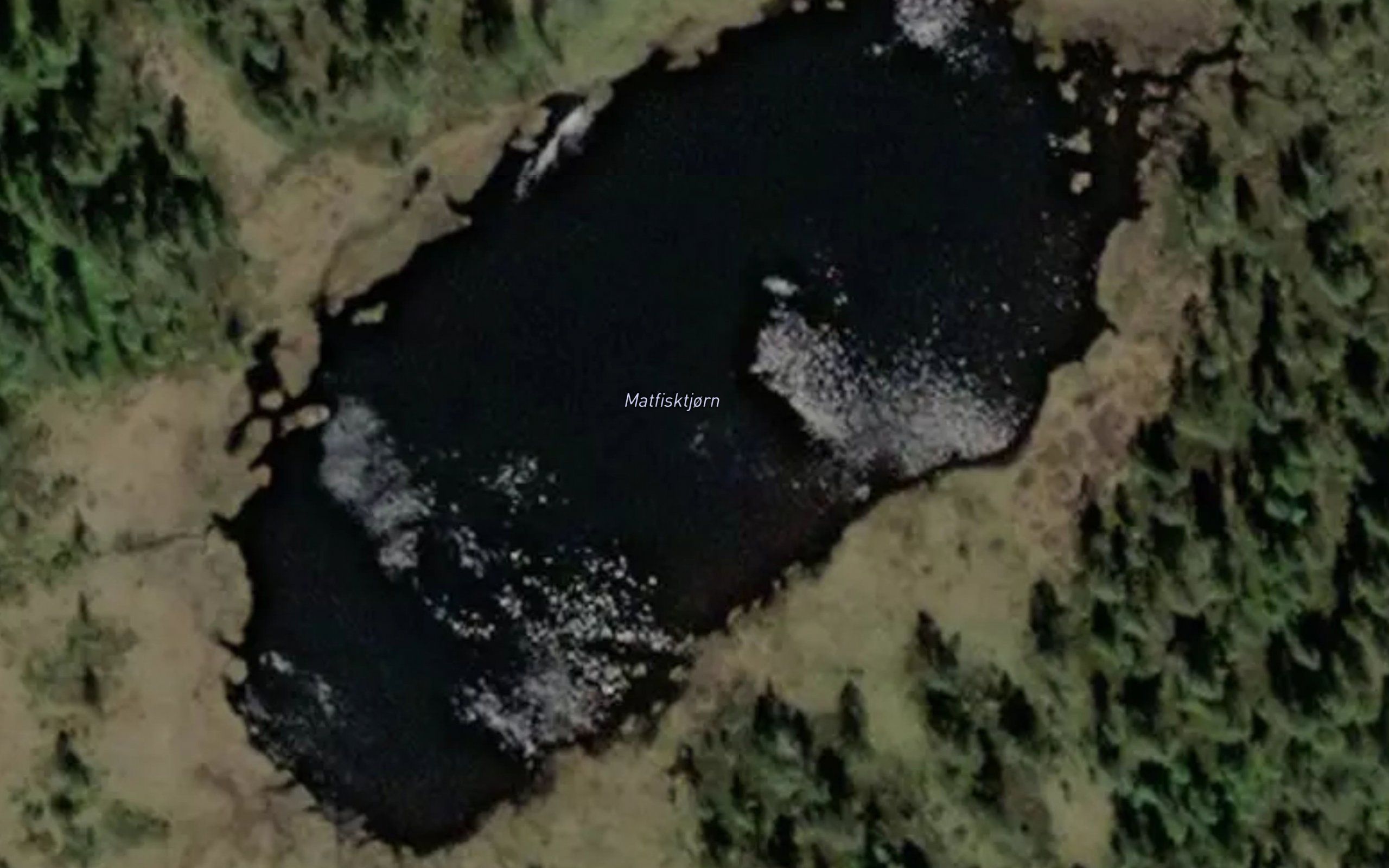 Matfisktjorn