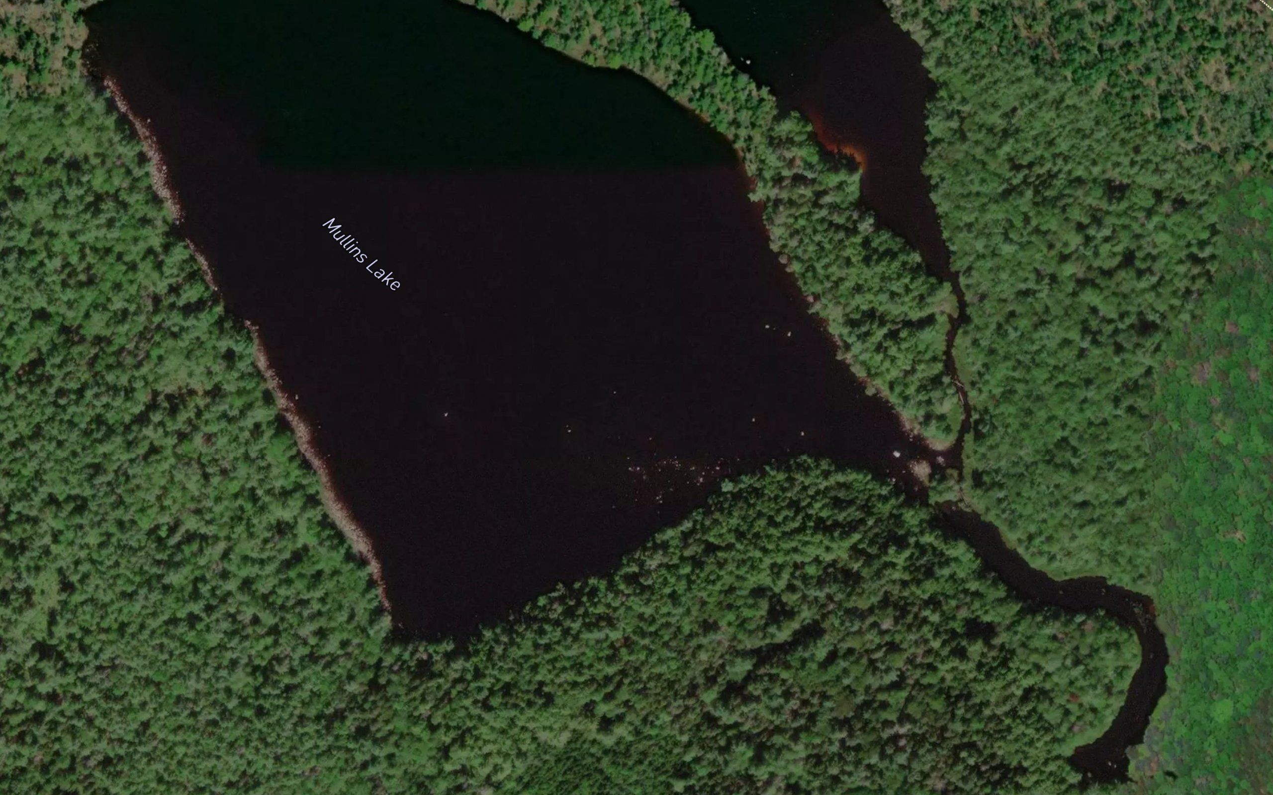 Mullins Lake