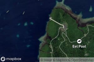 Sokehs Island Fringing Mangroves