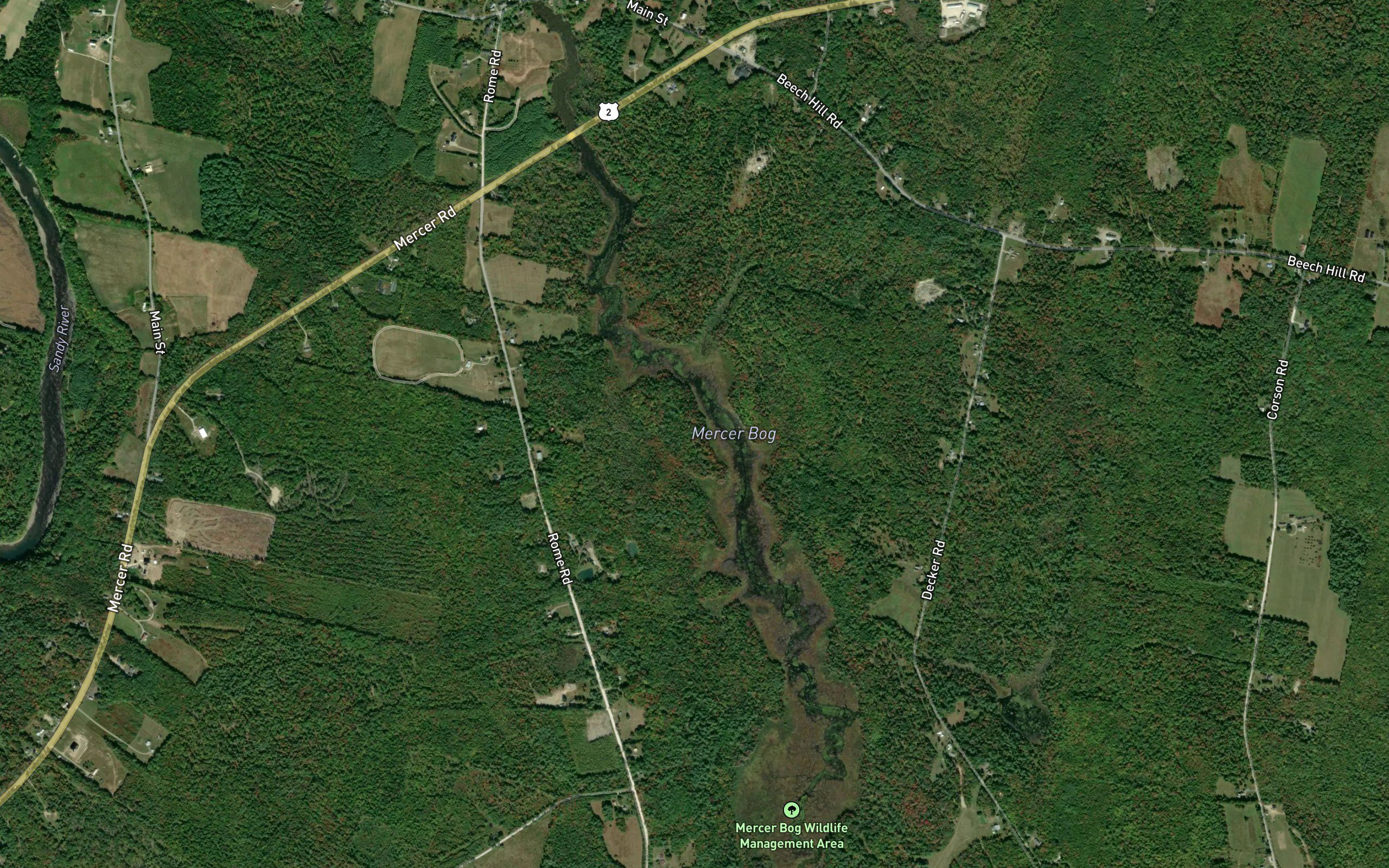 Mercer Bog