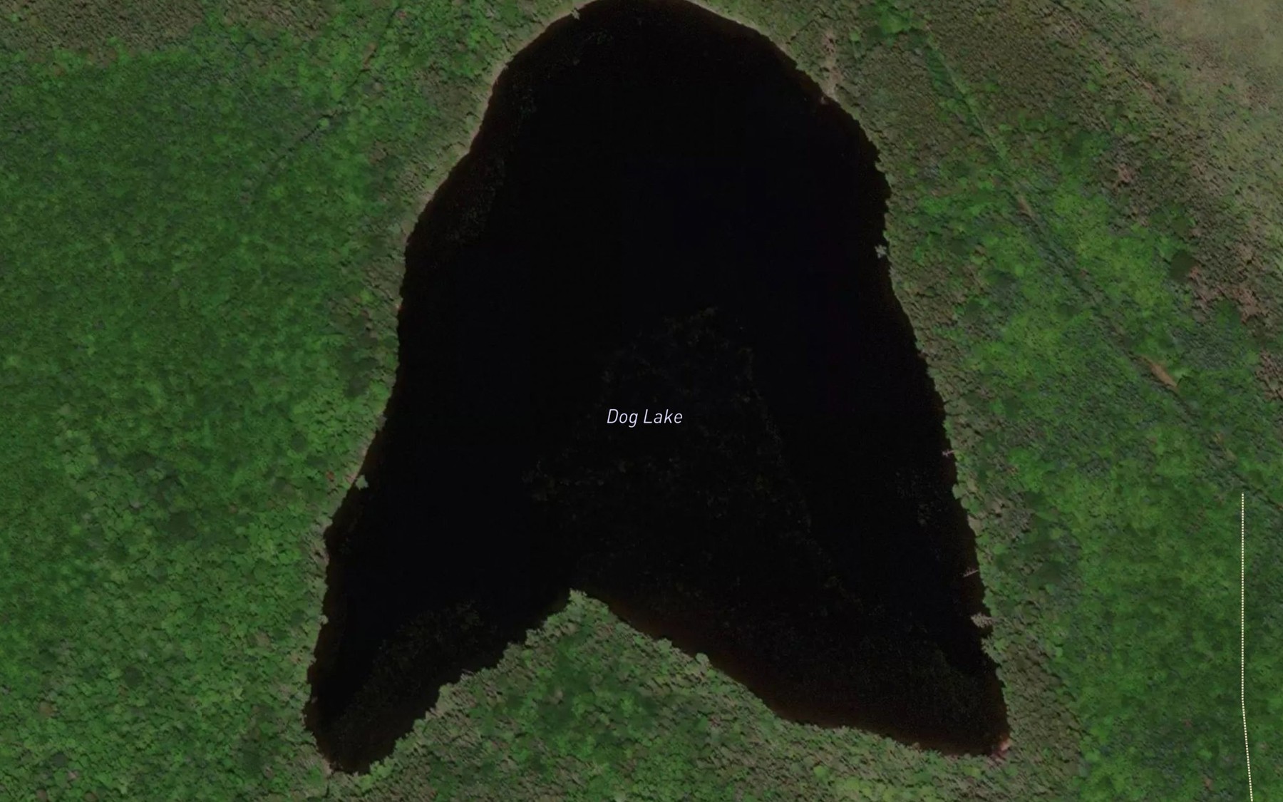 Satellite map of the Dog Lake