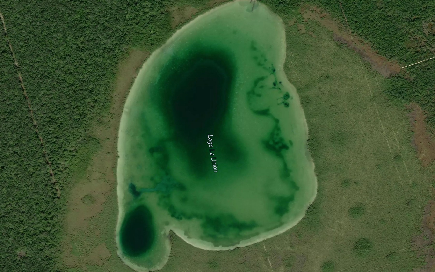 Satellite map of the Laguna la Union