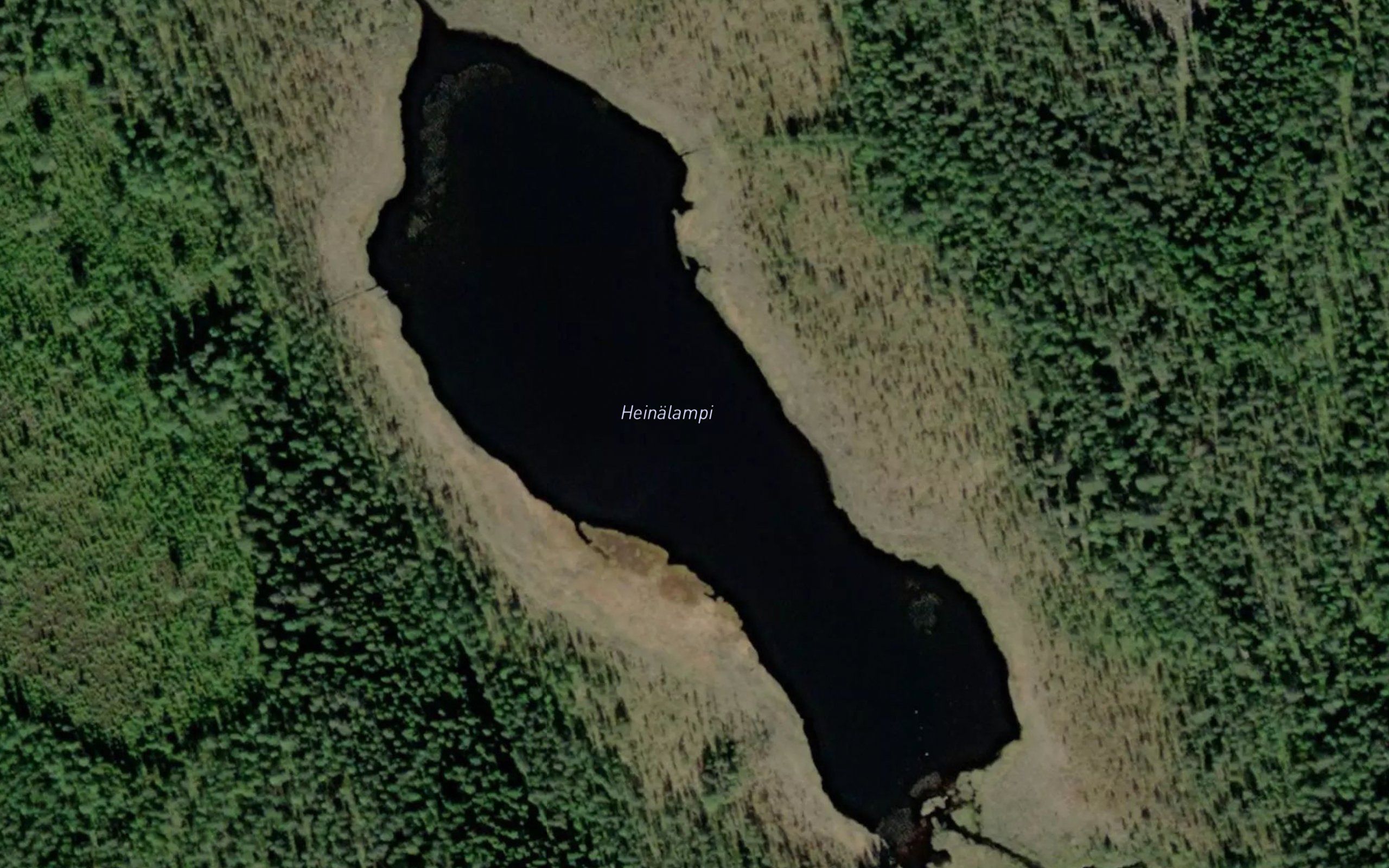Heinalampi