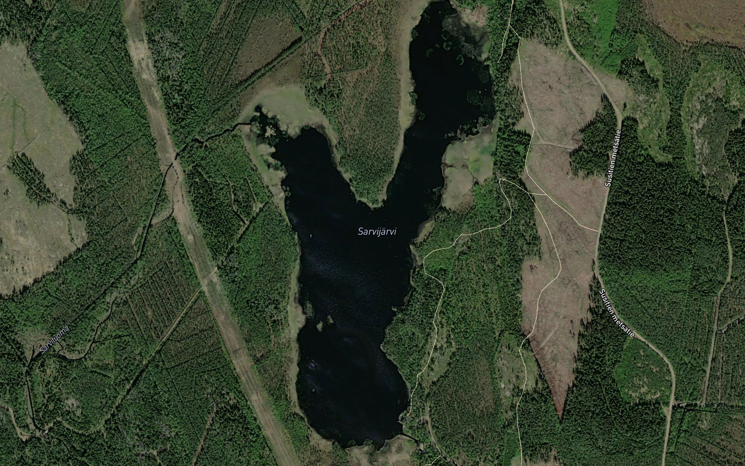 Sarvijarvi