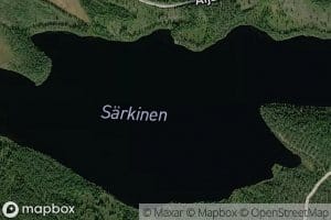 Sarkinen