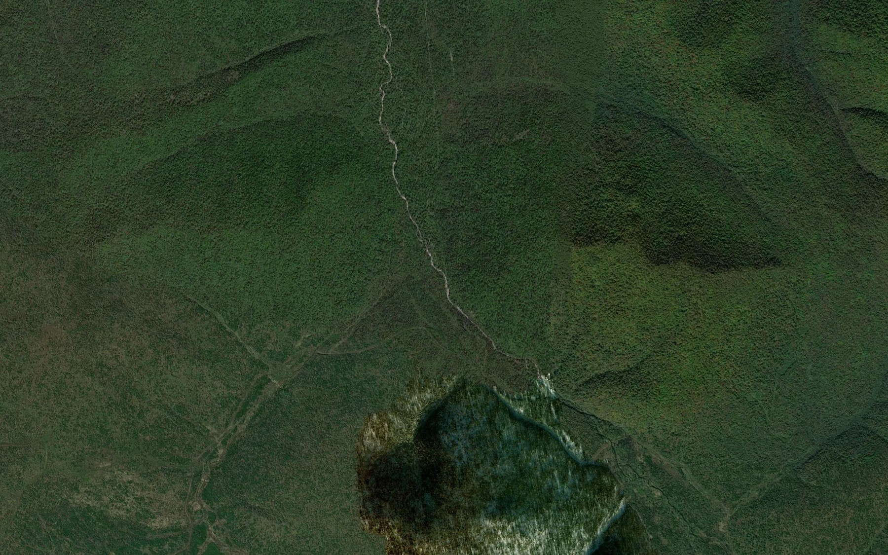 Satellite map of the Malaya Nemta