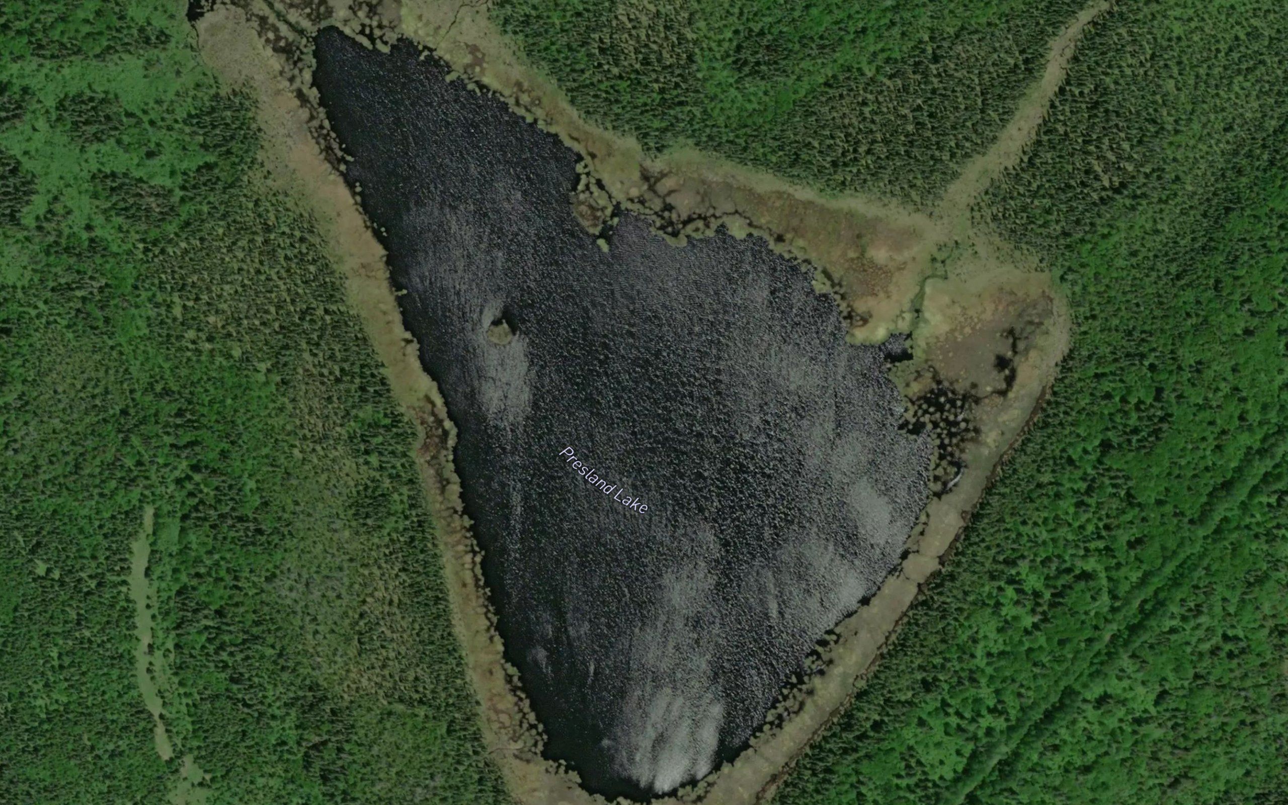 Presland Lake