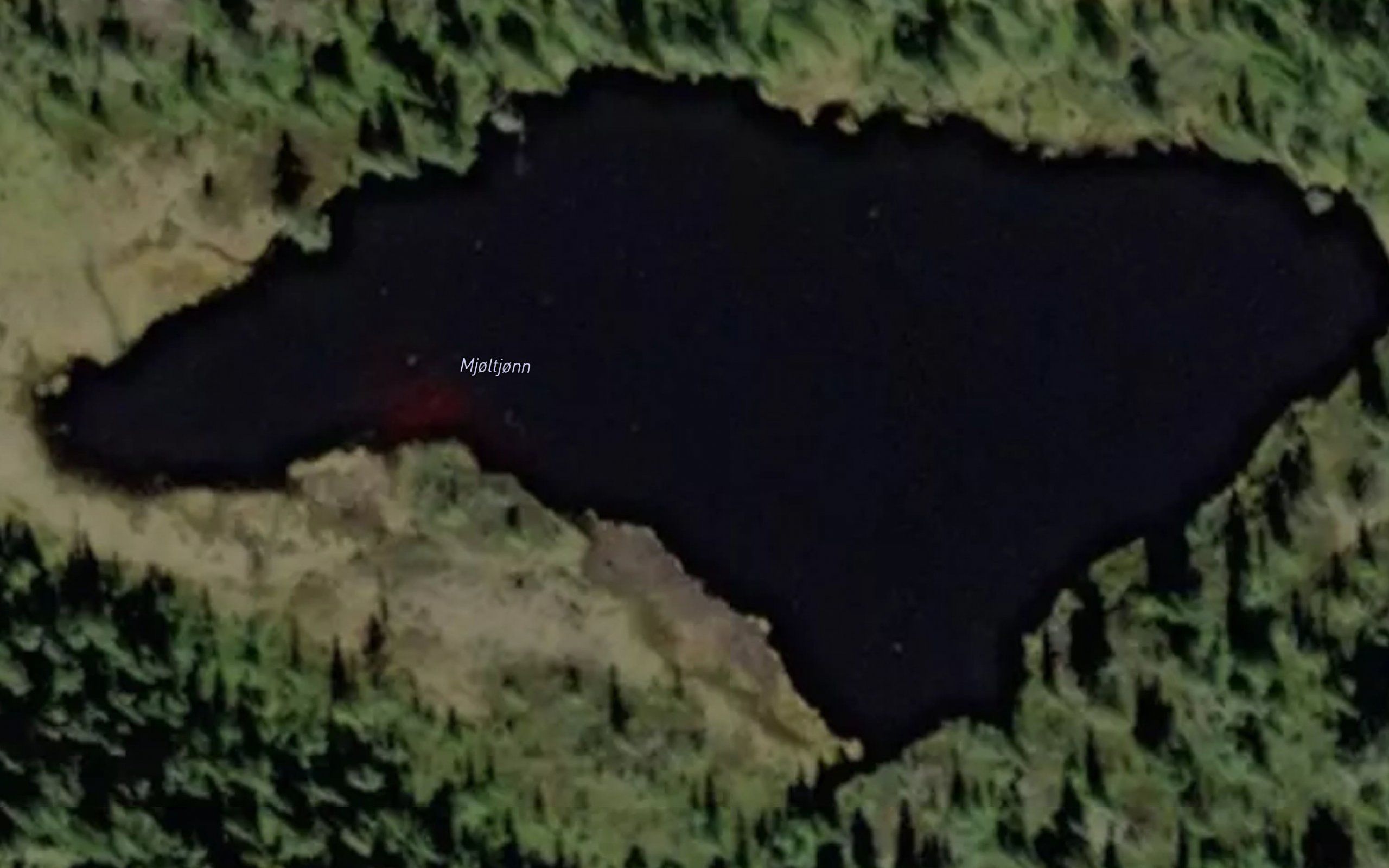 Mjoltjorn