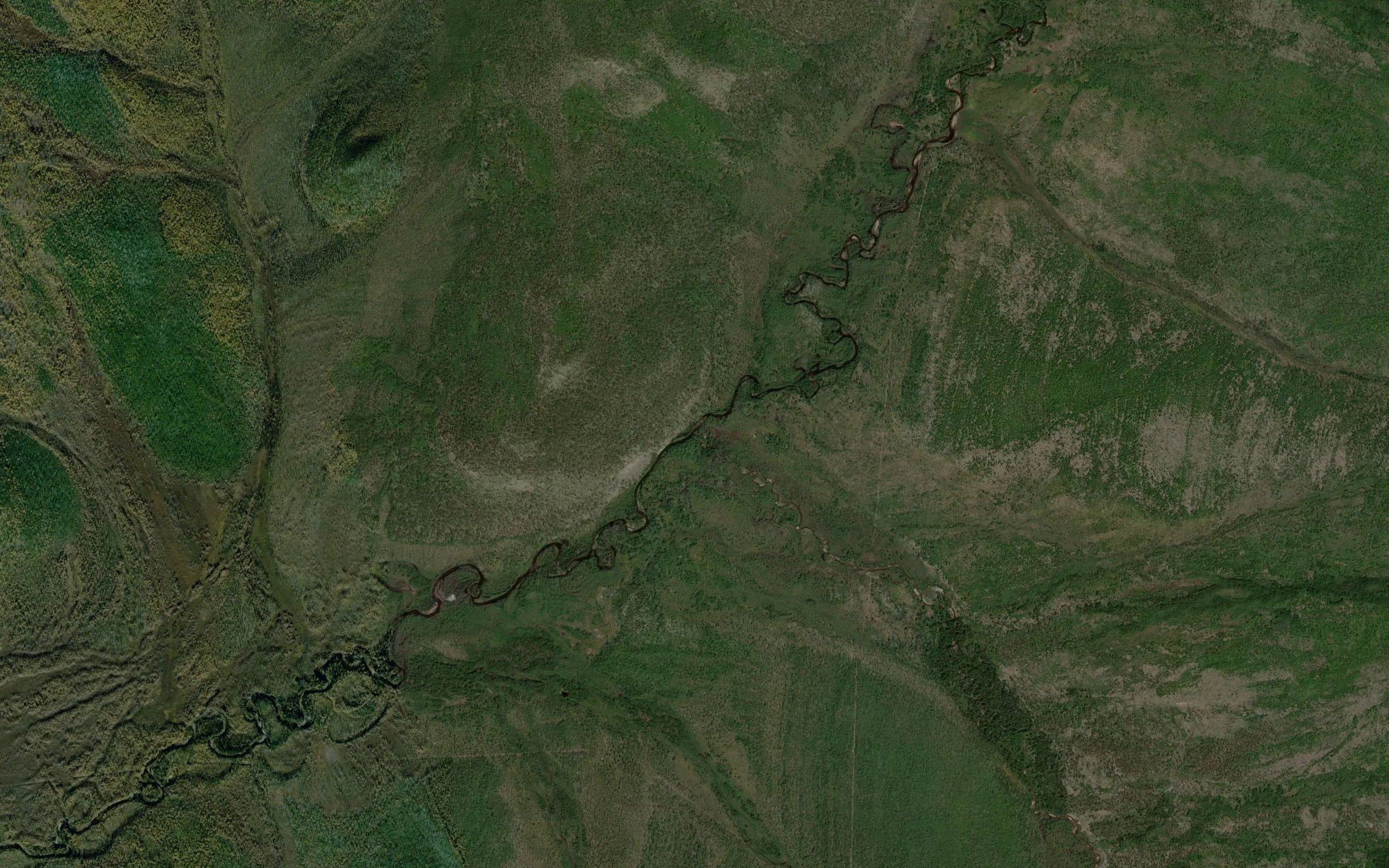 Dzhyukhta