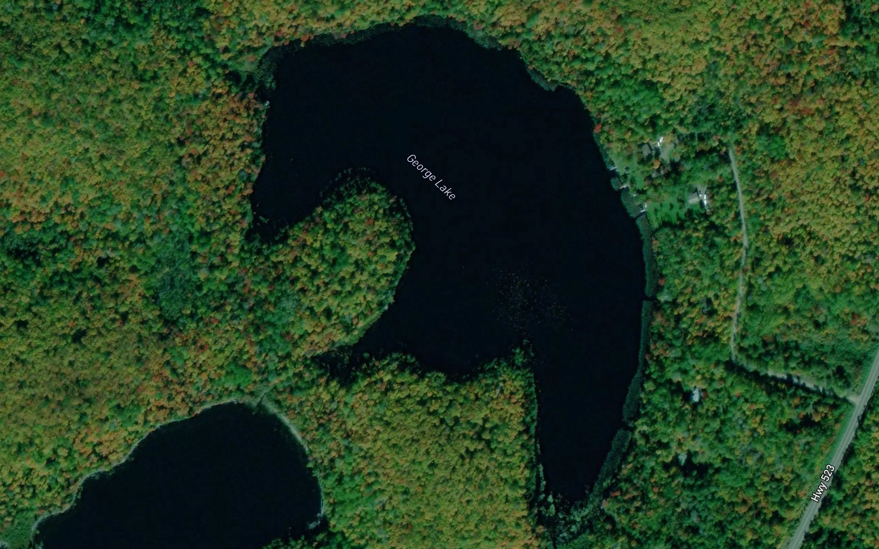 Satellite map of the George Lake