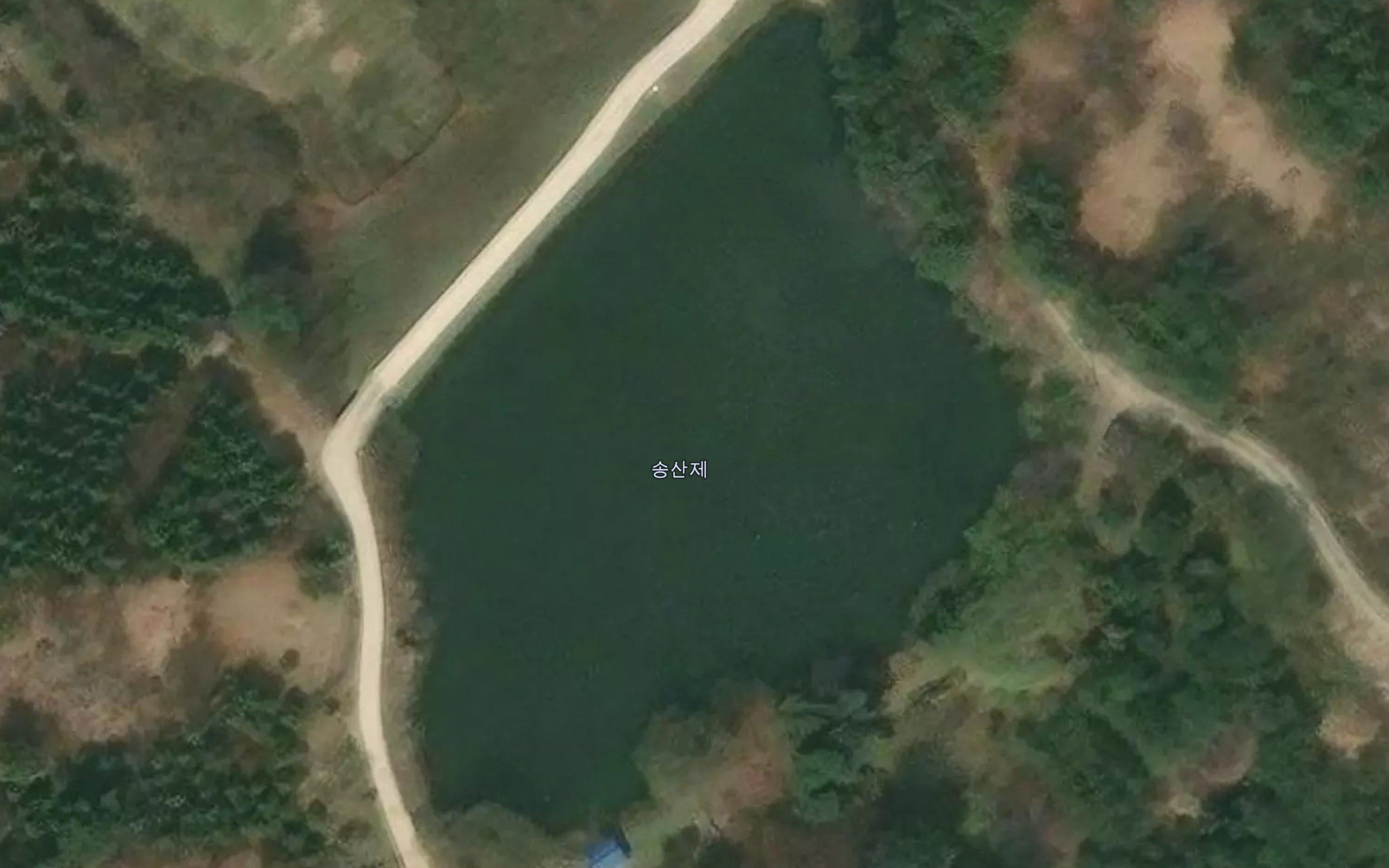 Songsanje