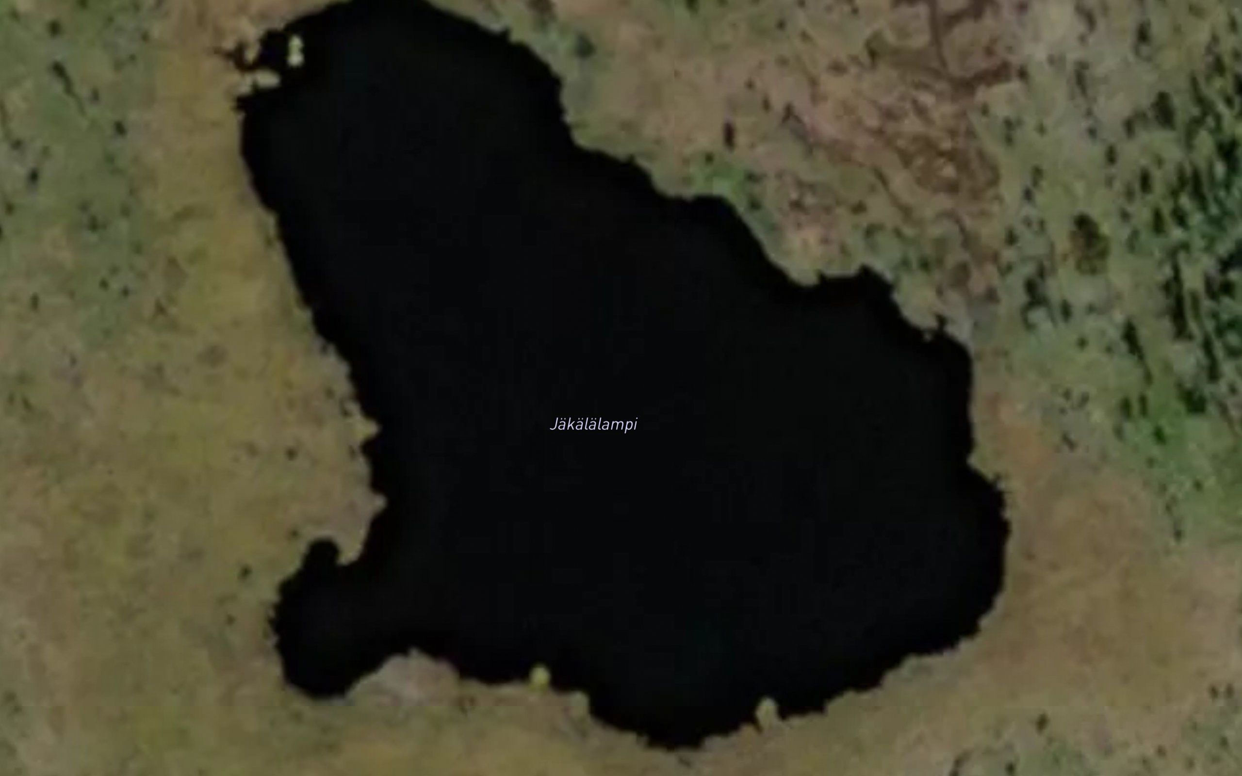 Jakalalampi