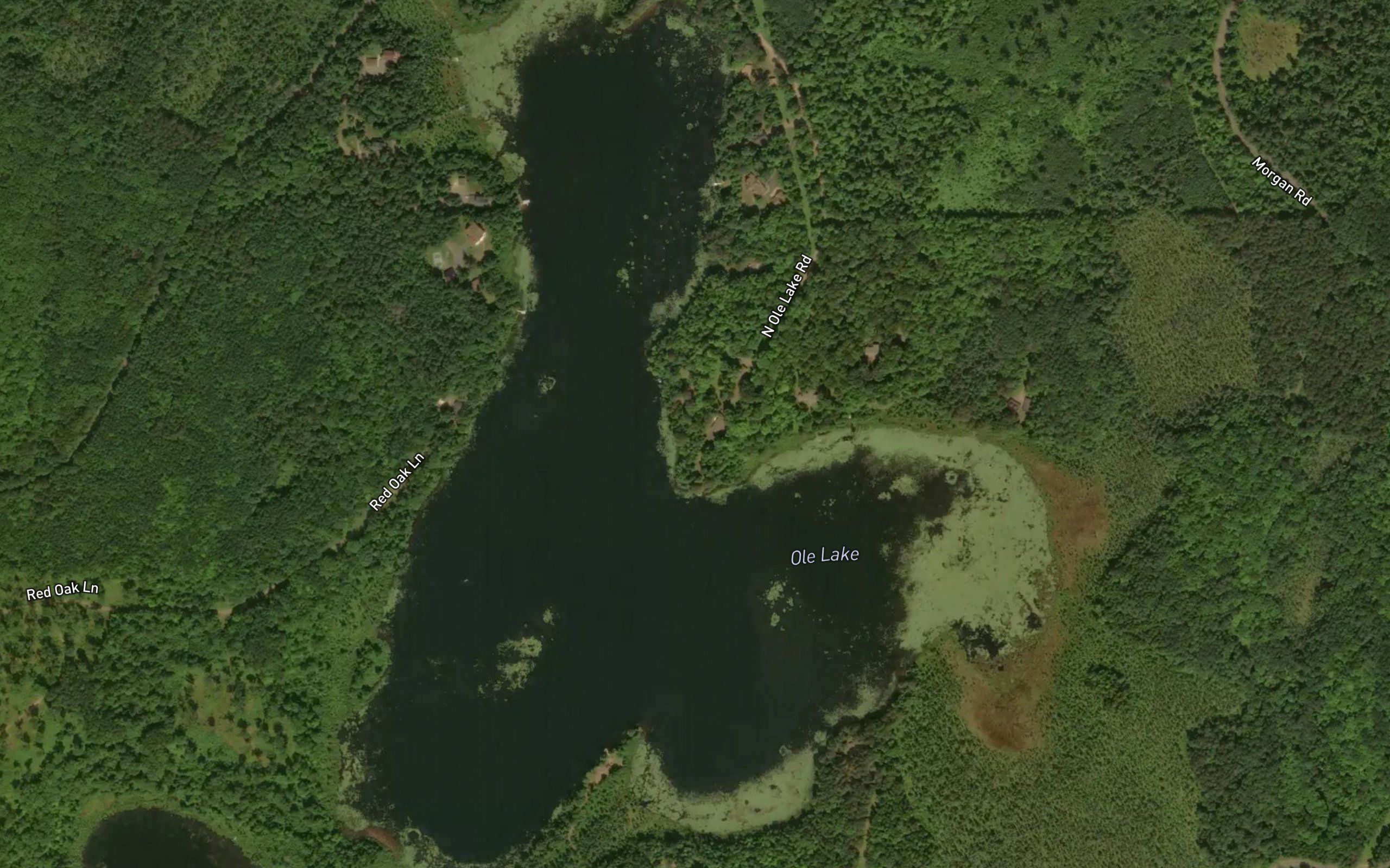 Ole Lake