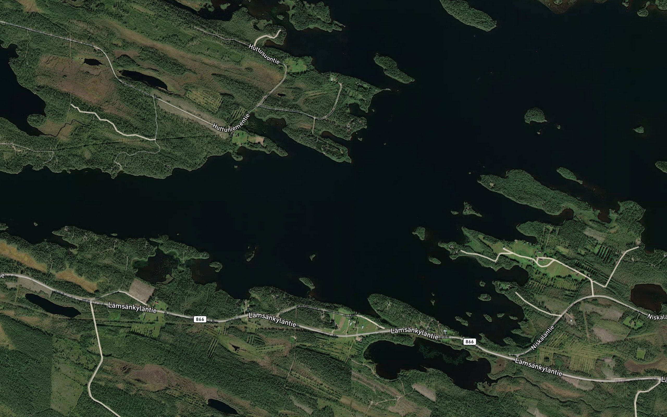 Niemelanhauta