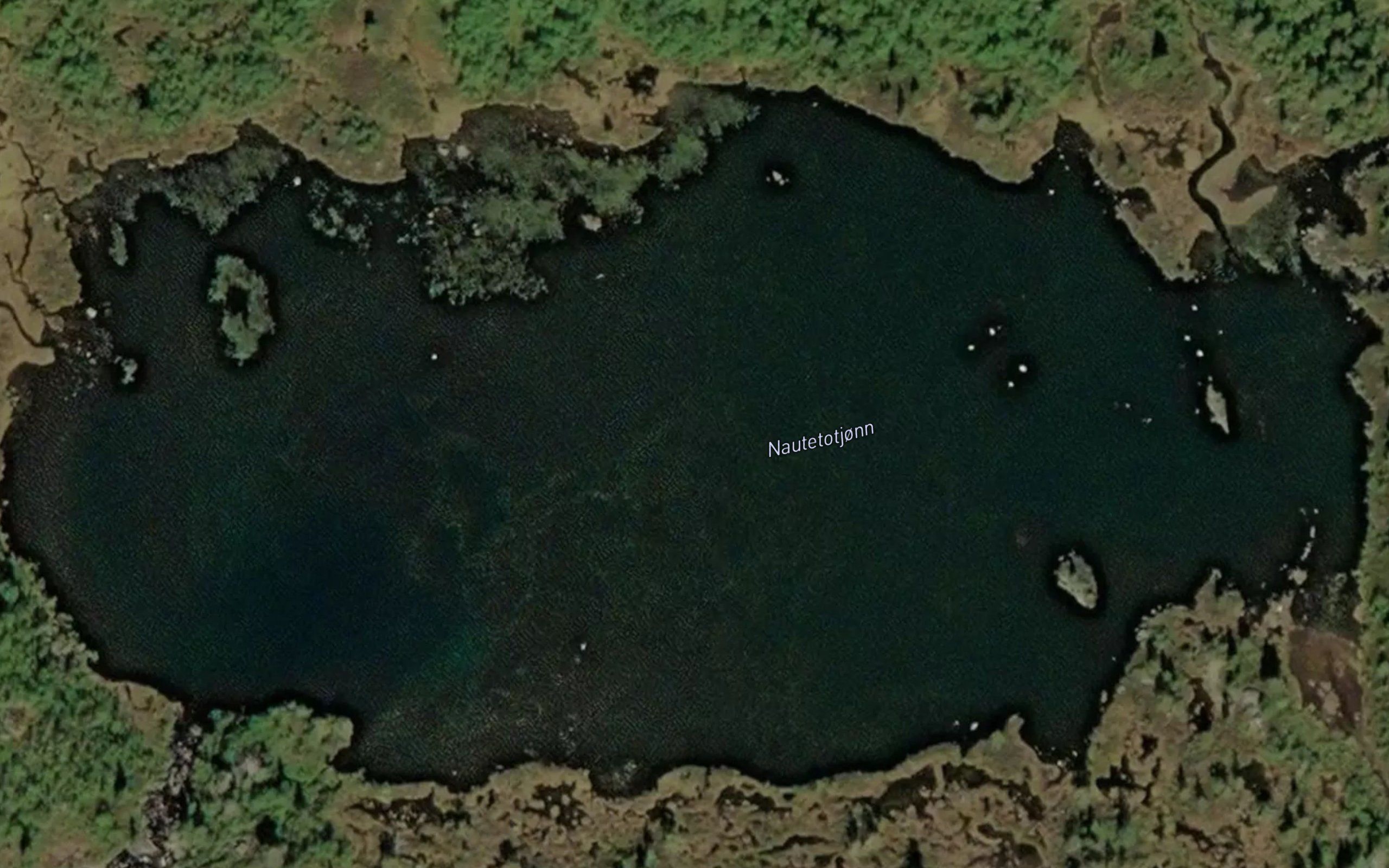 Nautetotjonni
