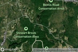 Stewart Brook