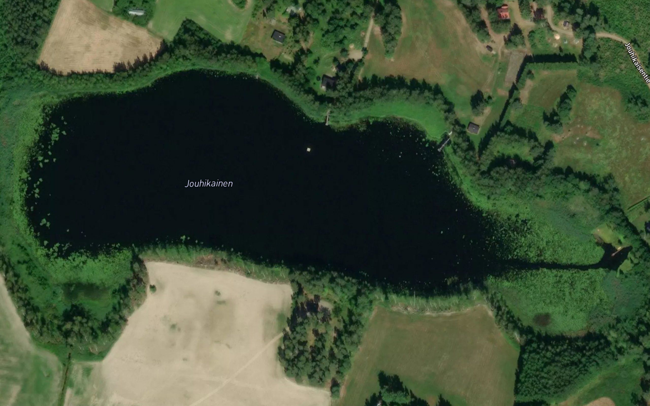 Jouhikainen