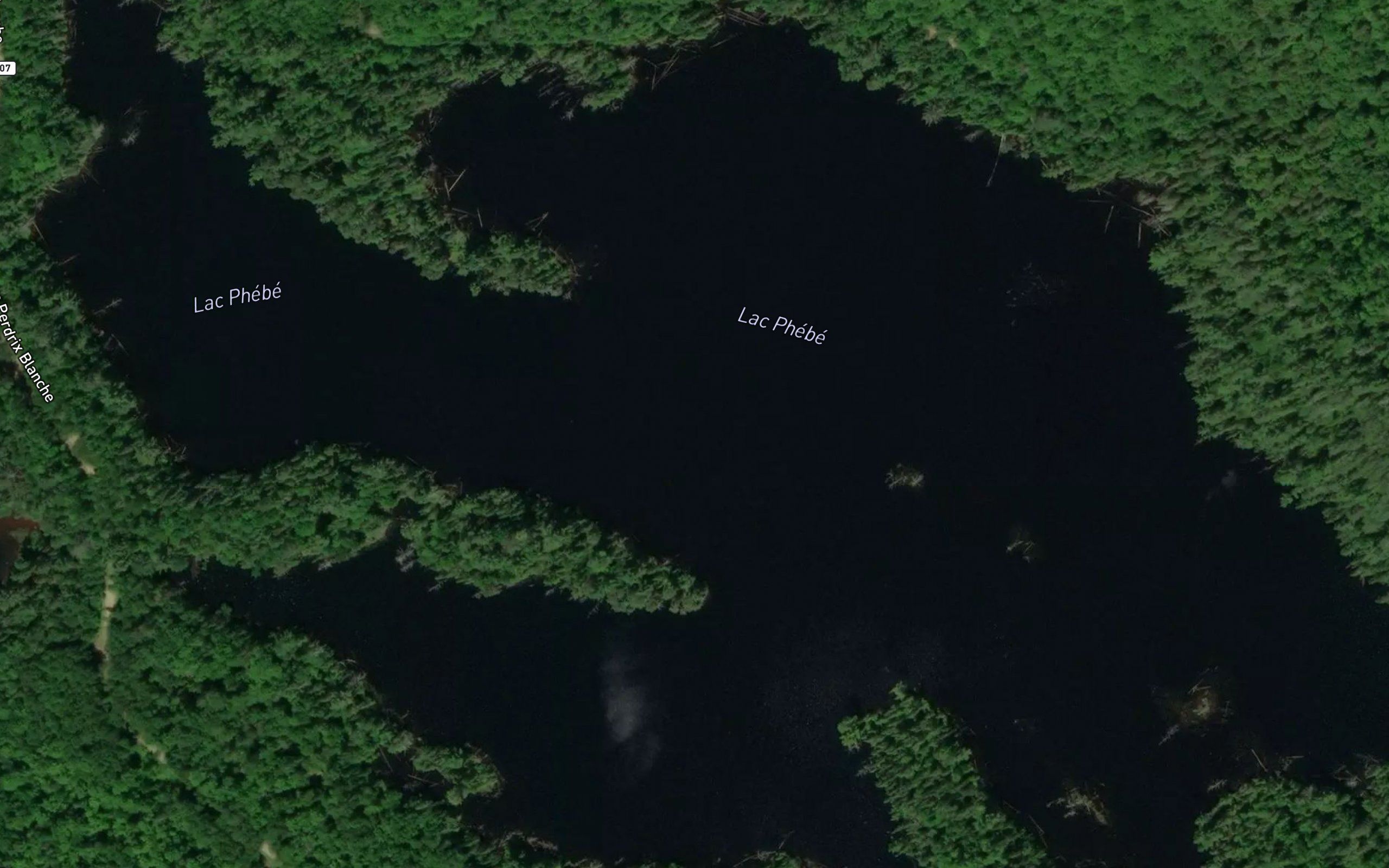 Lac Phebe