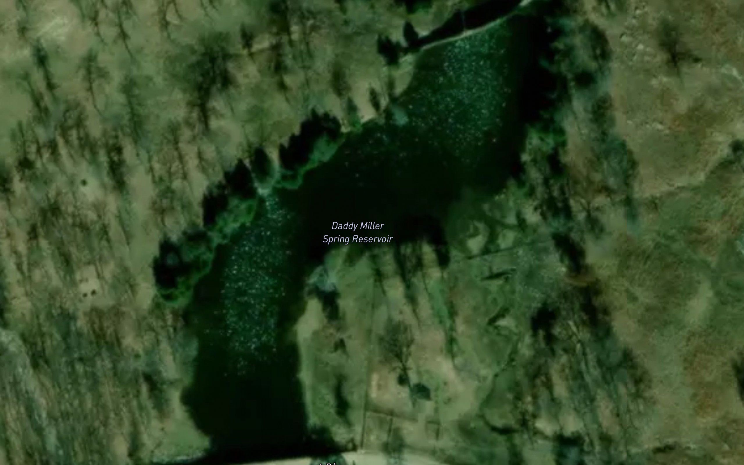 Daddy Miller Spring Reservoir