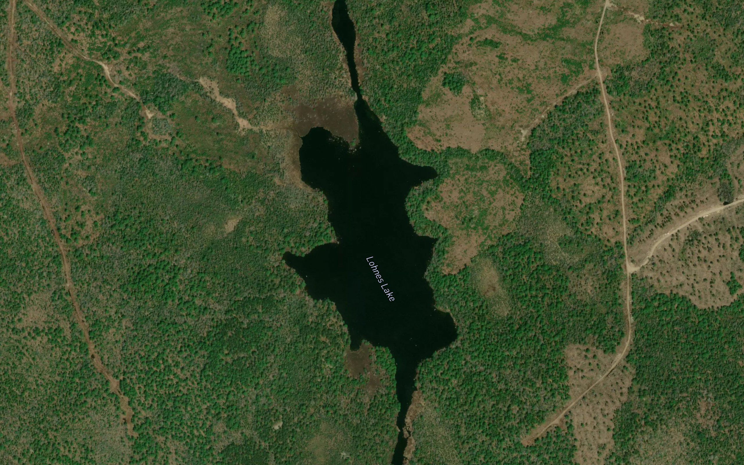 Lohnes Lake