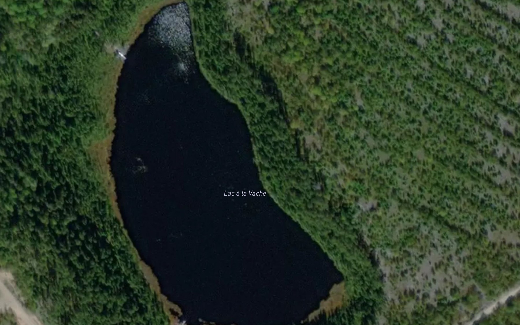 Satellite map of the Lac a la Vache
