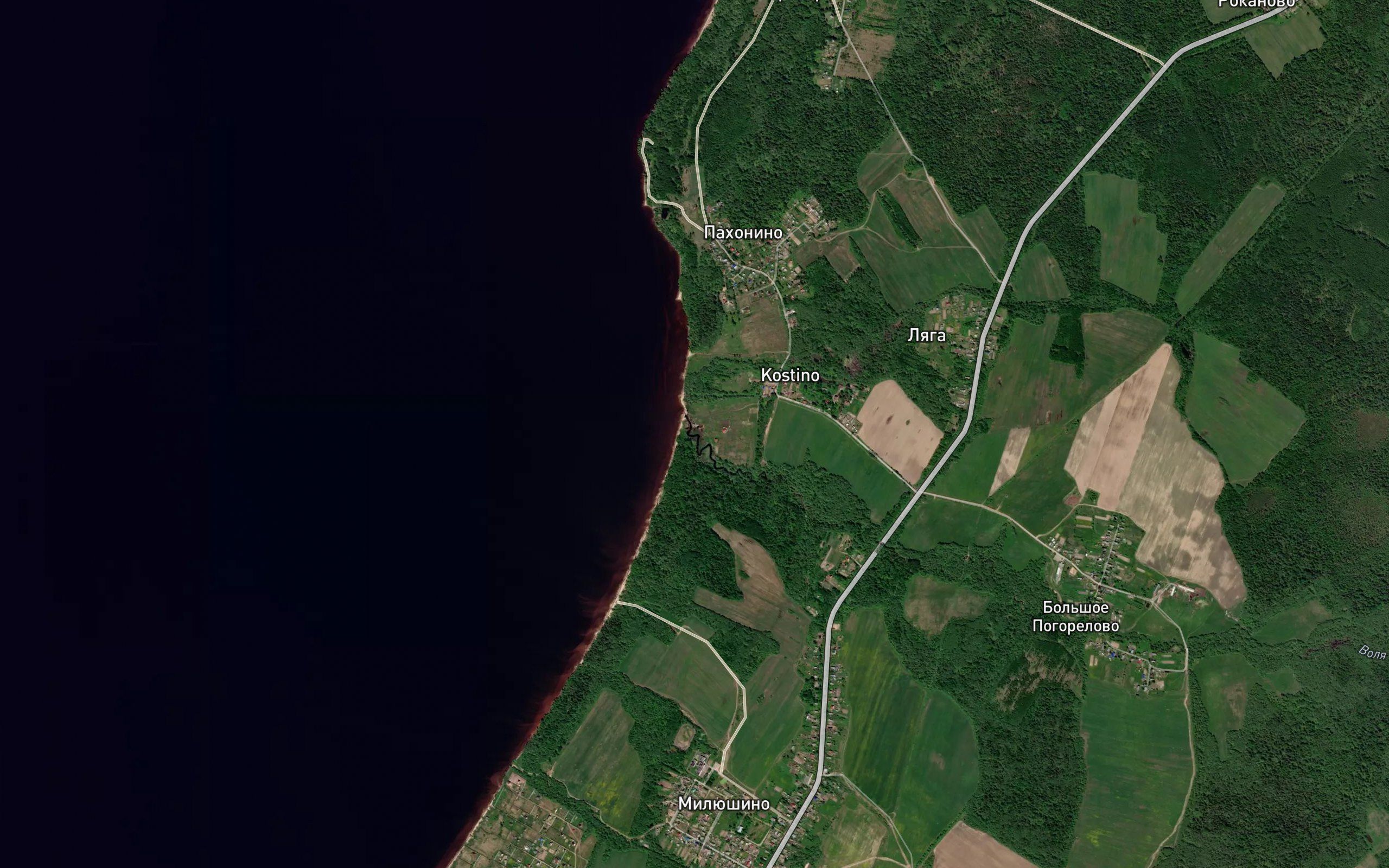 Volya