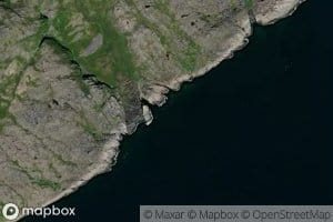 Revvika