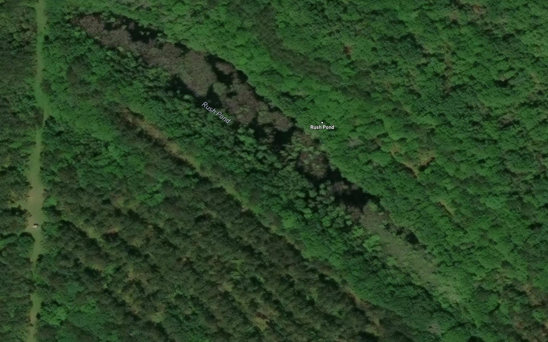 Satellite map of the Rush Pond