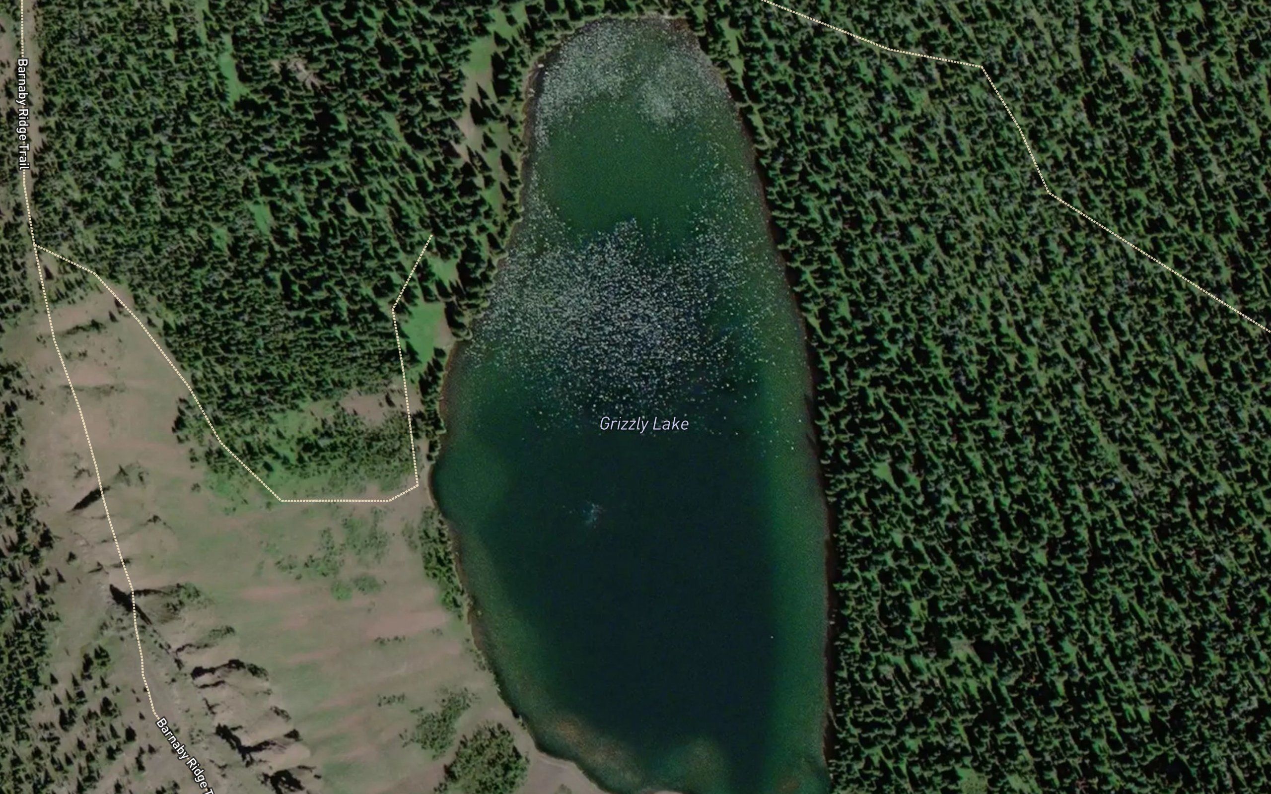 Grizzly Lake