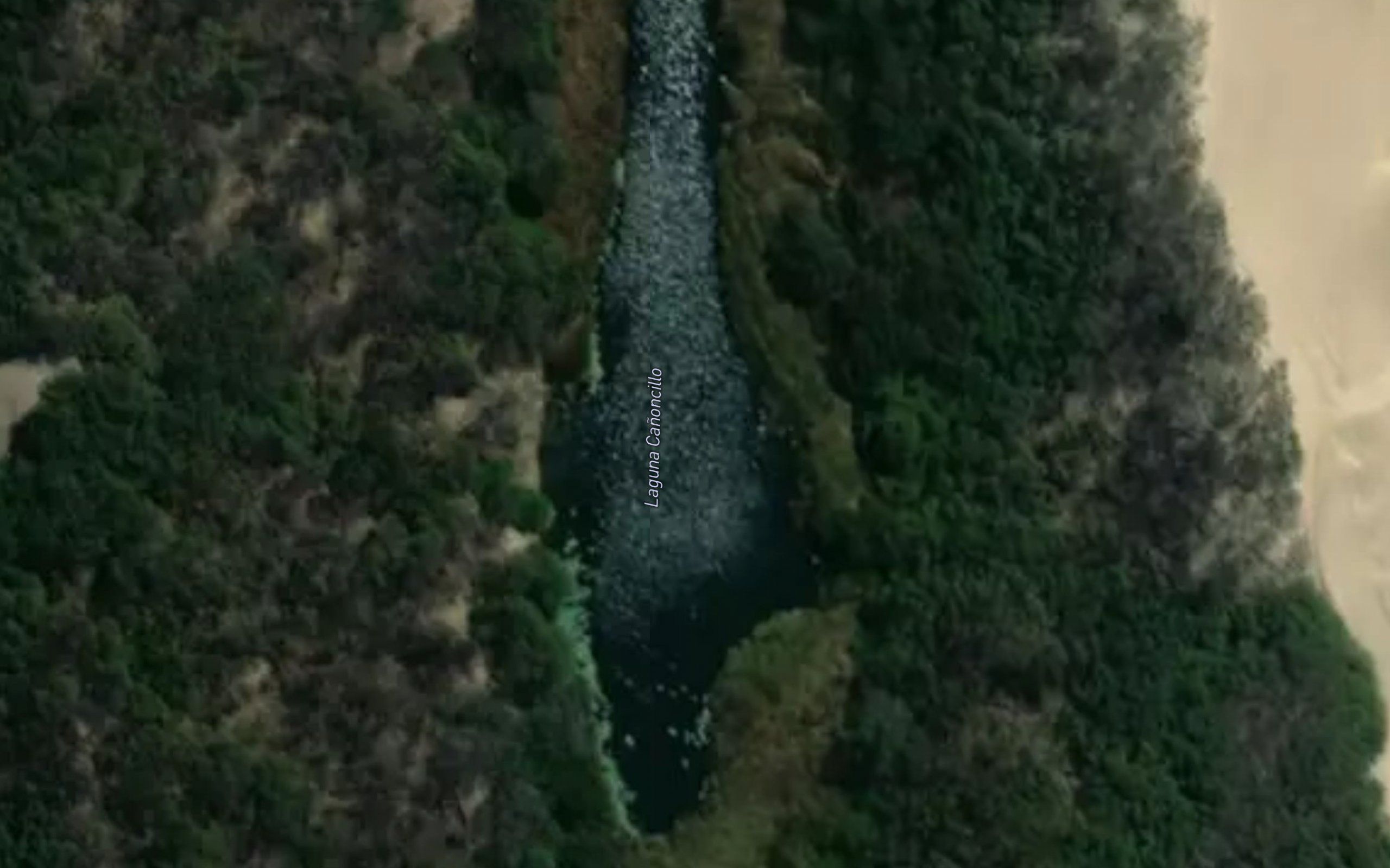 Laguna Canoncillo
