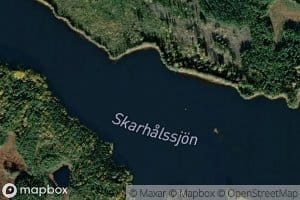 Skarhalssjon