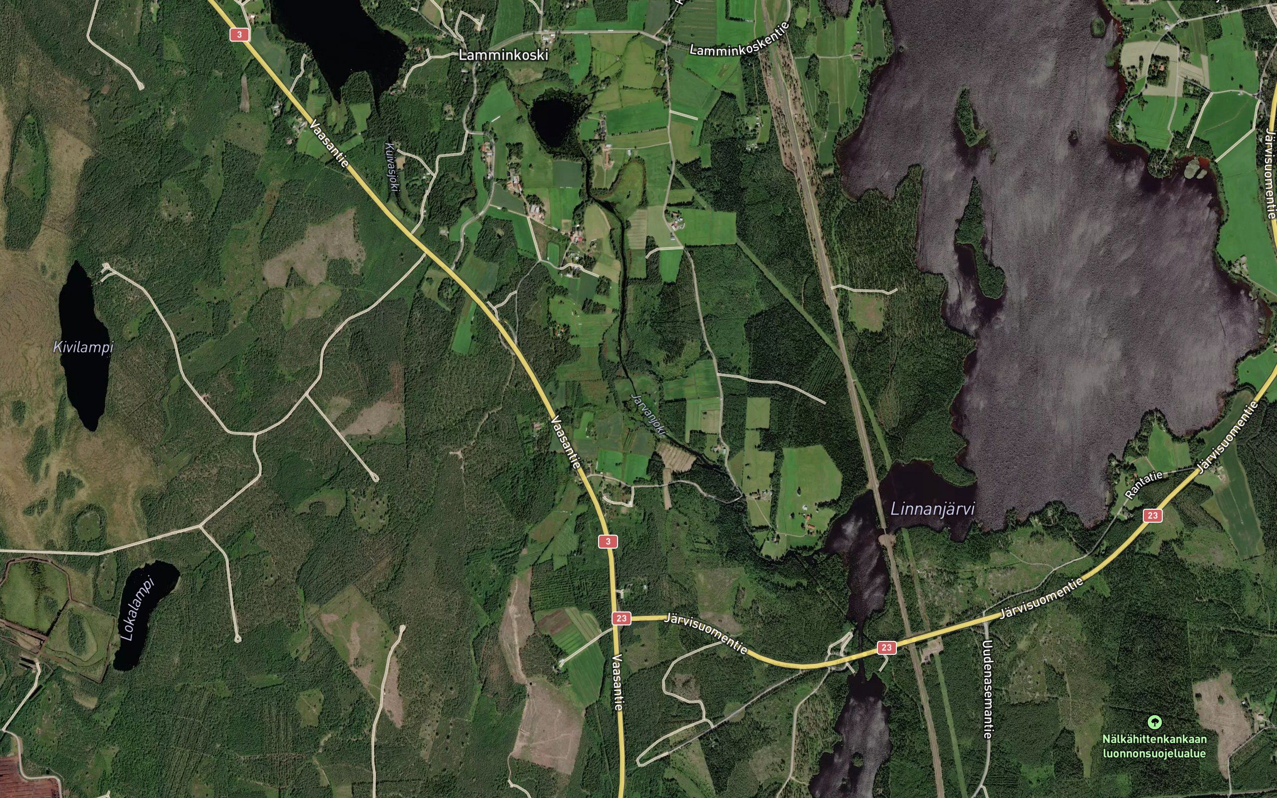 Ruonanlampi