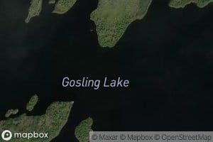 Gosling Lake