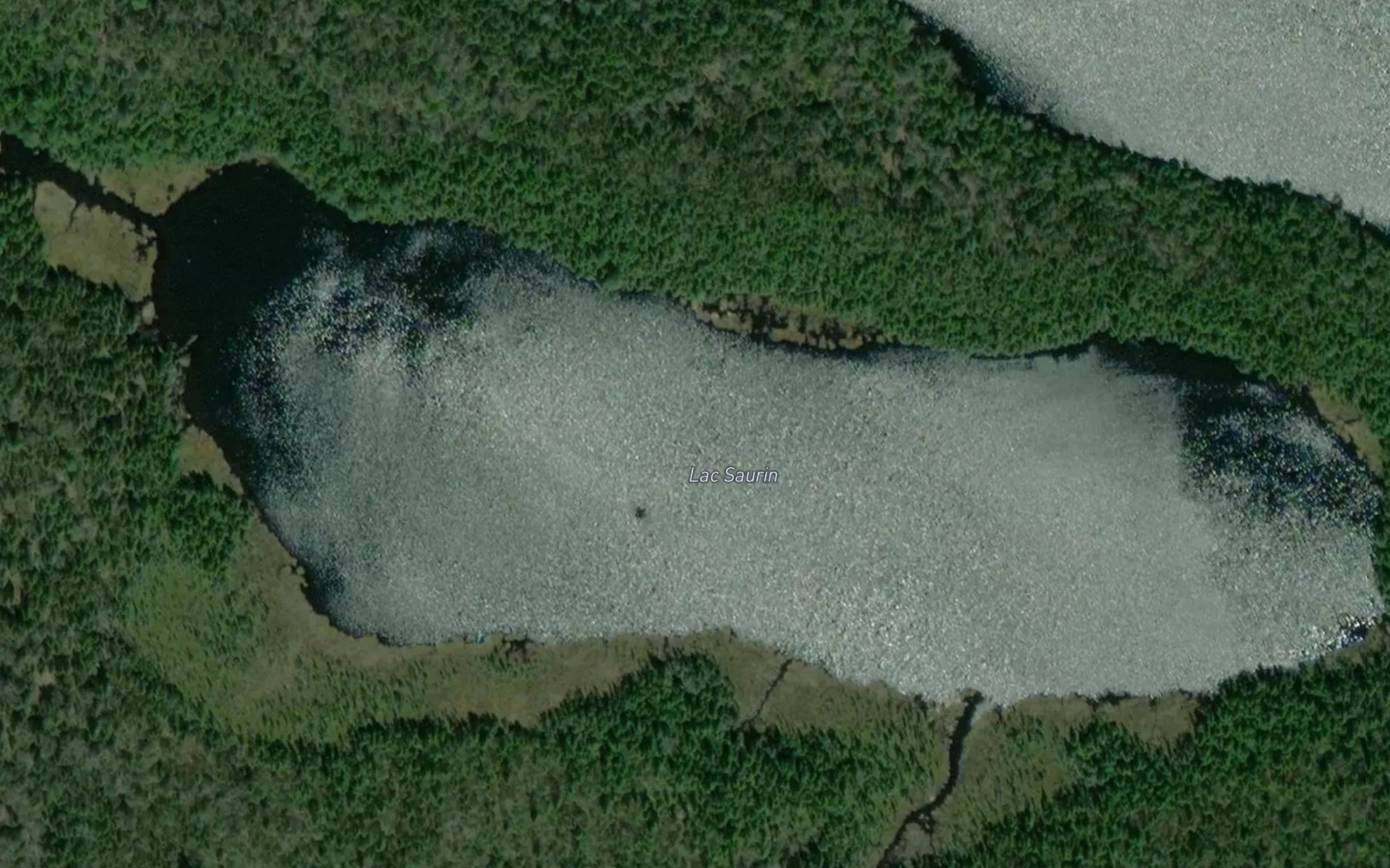 Satellite map of the Lac Saurin