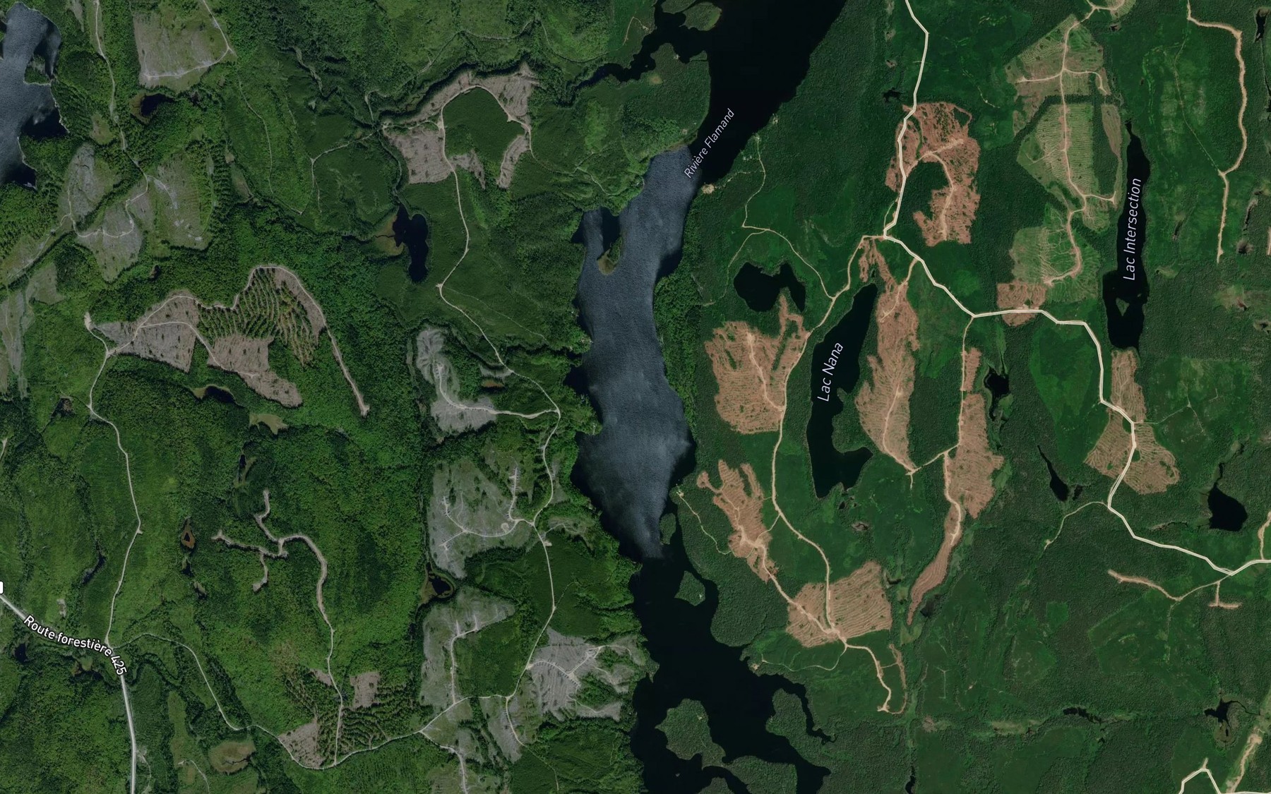 Satellite map of the Lac Nana