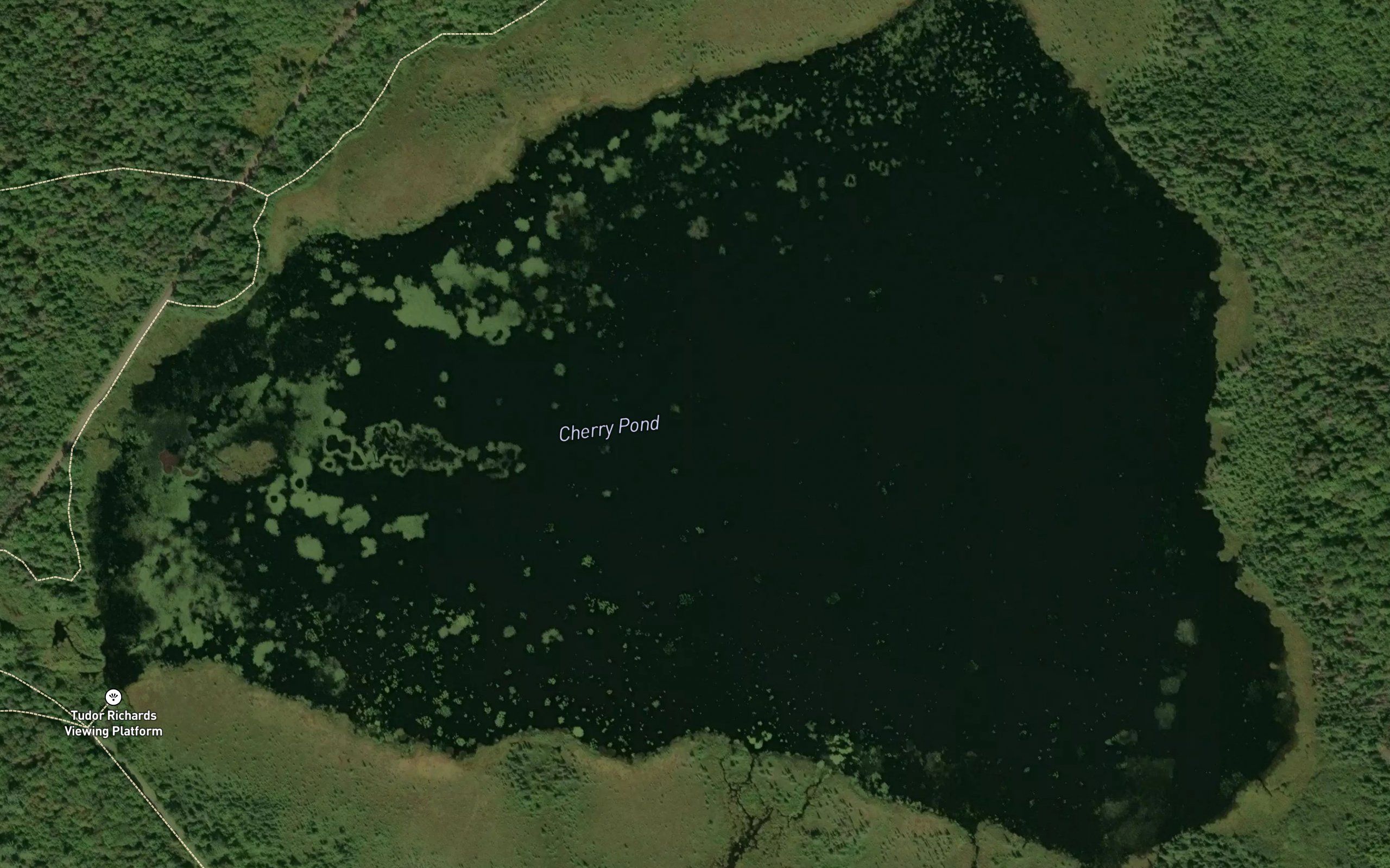 Cherry Pond