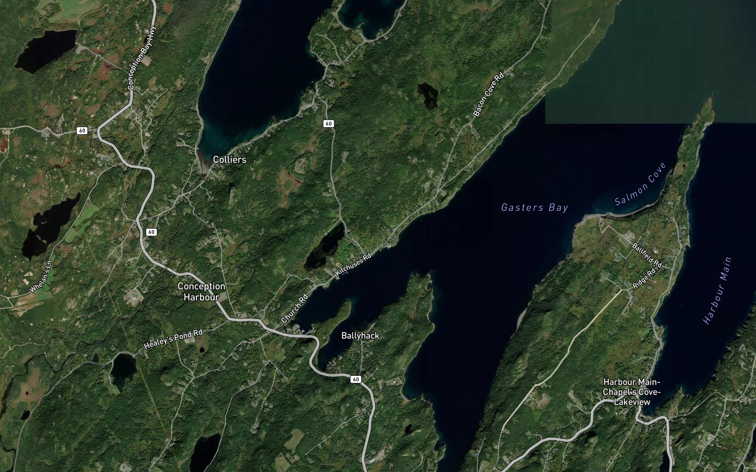 Lower Cove