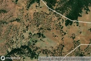 Elderberry Springs