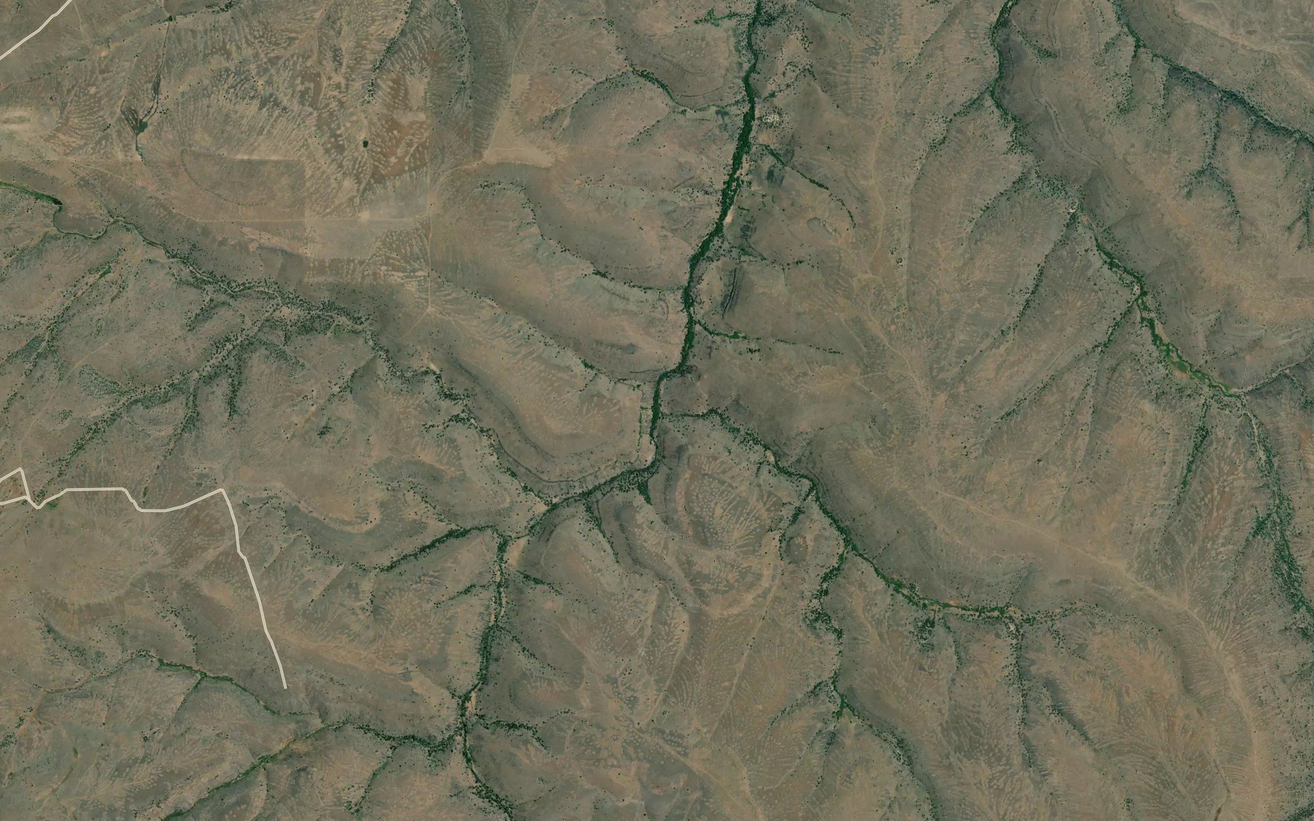 Shoestring Creek