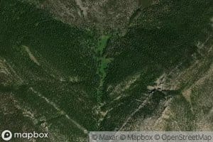West Fork Nevada Creek