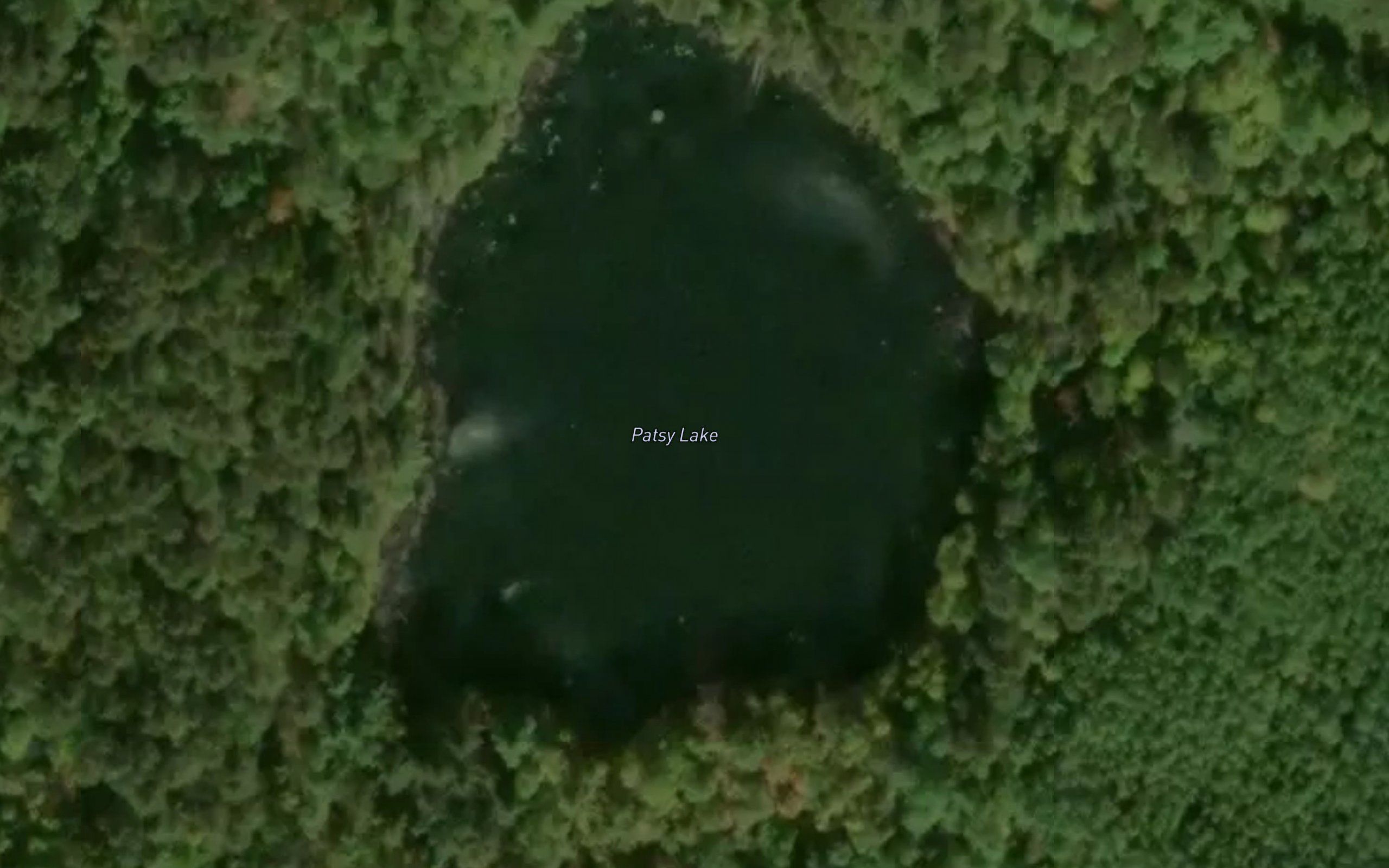 Patsy Lake
