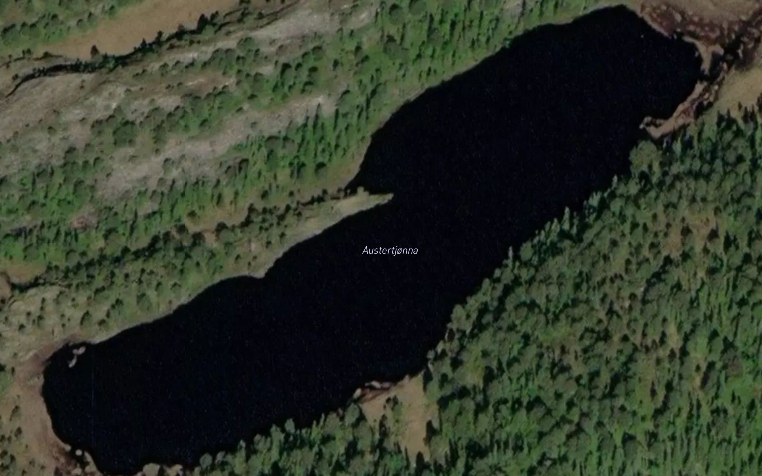 Austertjonna