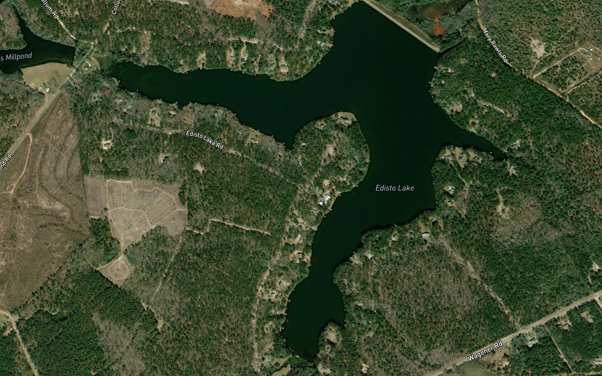Edisto Lake
