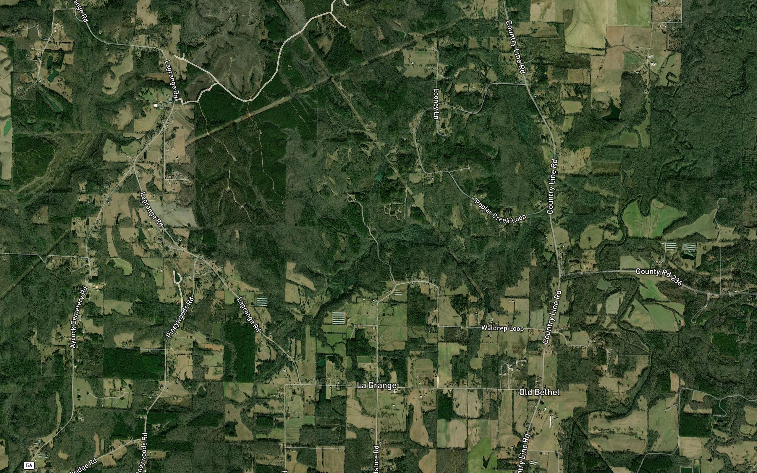 Watson Spring Branch