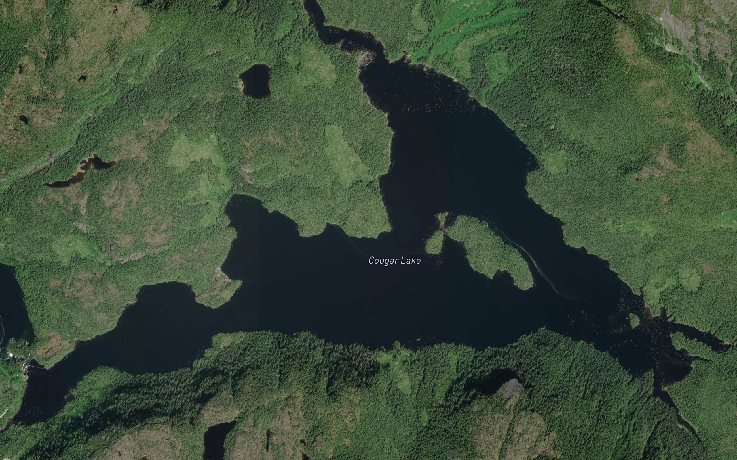 Cougar Lake